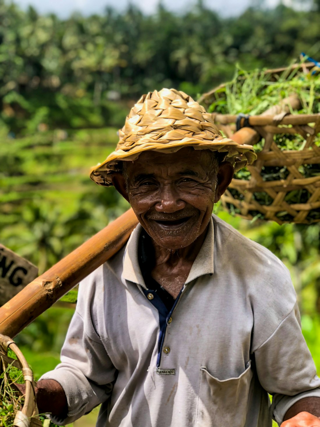 A grower in the field